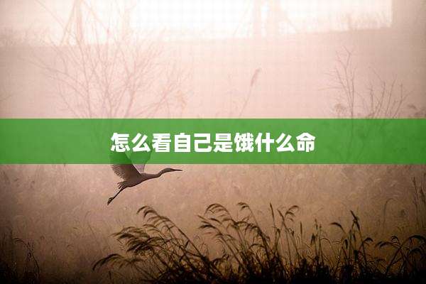 怎么看自己是饿什么命