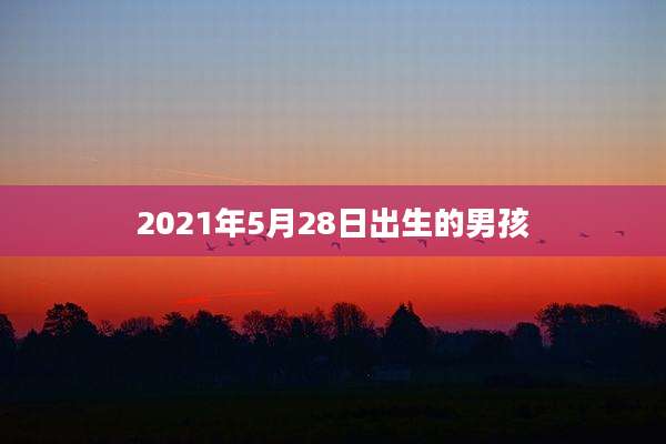 2021年5月28日出生的男孩