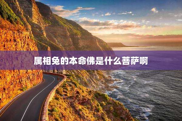 属相兔的本命佛是什么菩萨啊