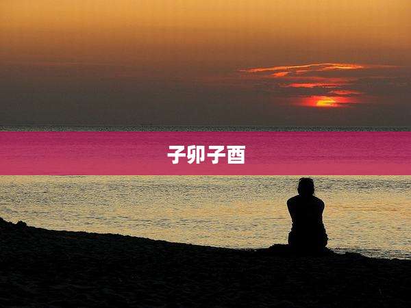 子卯子酉