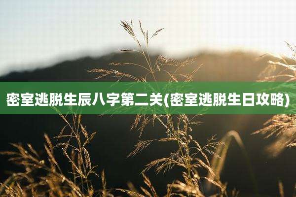 密室逃脱生辰八字第二关(密室逃脱生日攻略)