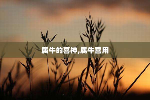 属牛的喜神,属牛喜用