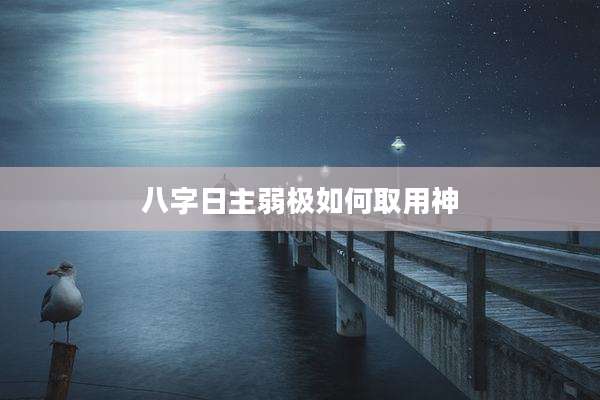 八字日主弱极如何取用神