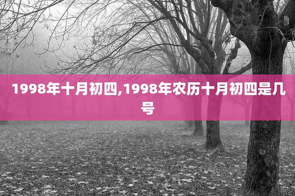 1998年十月初四,1998年农历十月初四是几号