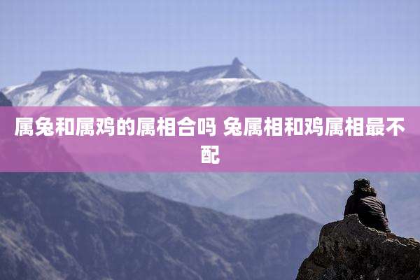 属兔和属鸡的属相合吗 兔属相和鸡属相最不配