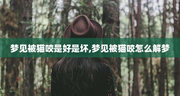梦见被猫咬是好是坏,梦见被猫咬怎么解梦