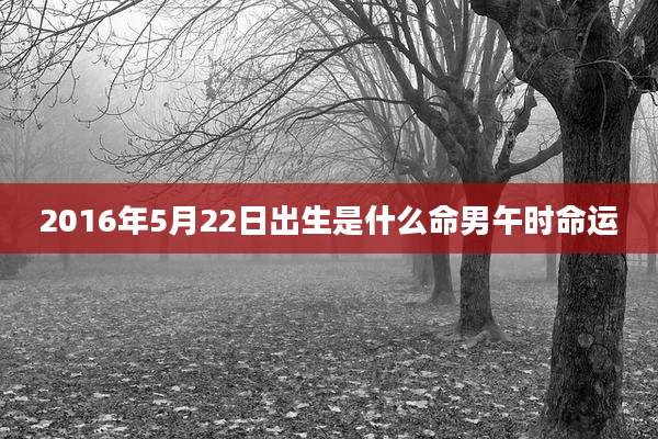 2016年5月22日出生是什么命男午时命运