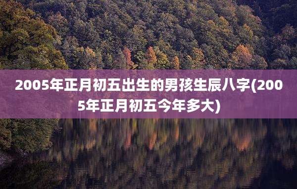 2005年正月初五出生的男孩生辰八字(2005年正月初五今年多大)