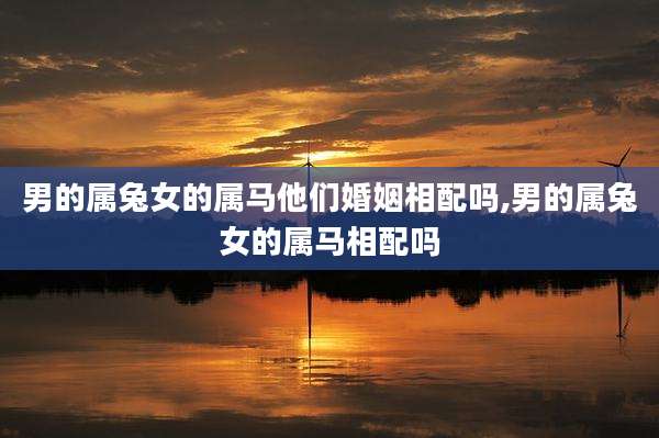 男的属兔女的属马他们婚姻相配吗,男的属兔女的属马相配吗