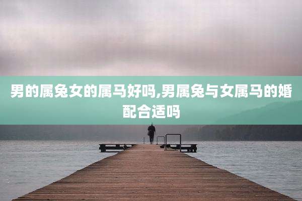 男的属兔女的属马好吗,男属兔与女属马的婚配合适吗