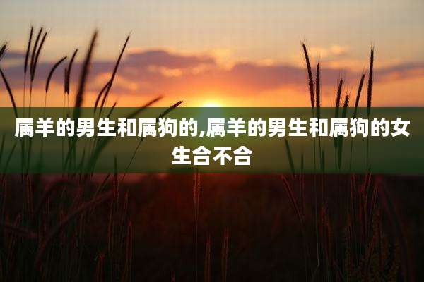 属羊的男生和属狗的,属羊的男生和属狗的女生合不合