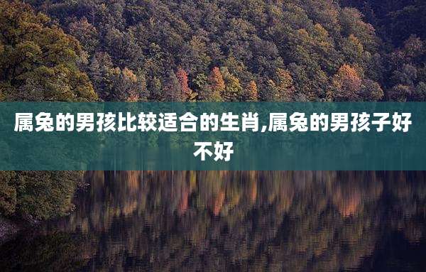 属兔的男孩比较适合的生肖,属兔的男孩子好不好
