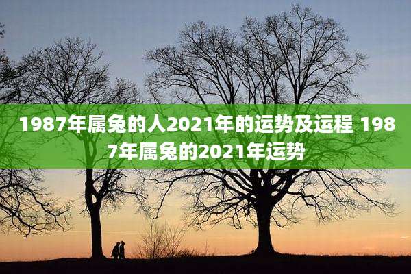 1987年属兔的人2021年的运势及运程 1987年属兔的2021年运势