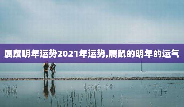 属鼠明年运势2021年运势,属鼠的明年的运气