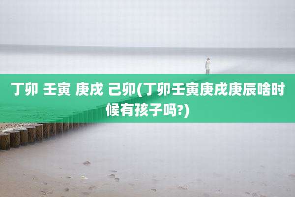 丁卯 壬寅 庚戌 己卯(丁卯壬寅庚戌庚辰啥时候有孩子吗?)
