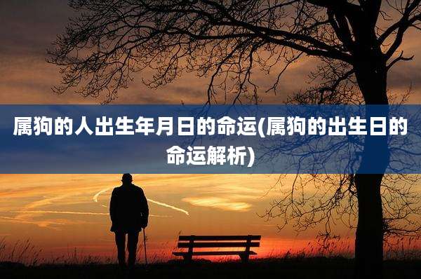 属狗的人出生年月日的命运(属狗的出生日的命运解析)