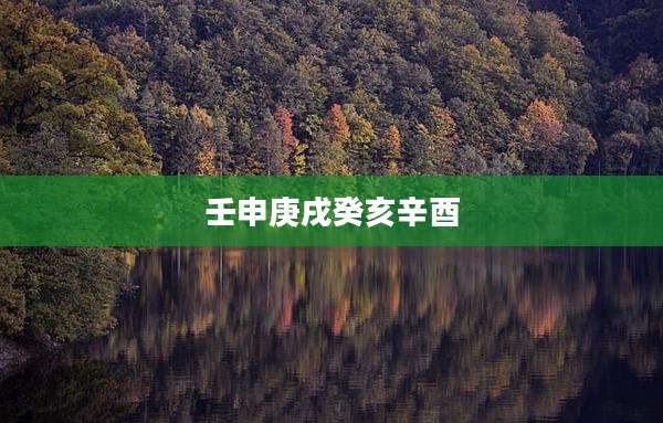 壬申庚戌癸亥辛酉