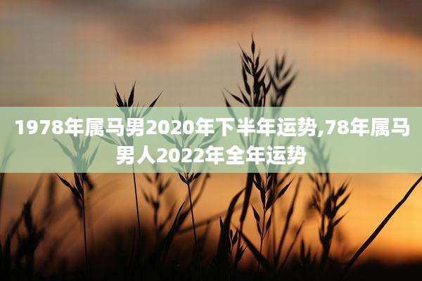 1978年属马男2020年下半年运势,78年属马男人2022年全年运势