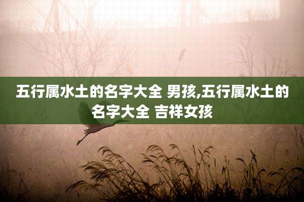 五行属水土的名字大全 男孩,五行属水土的名字大全 吉祥女孩