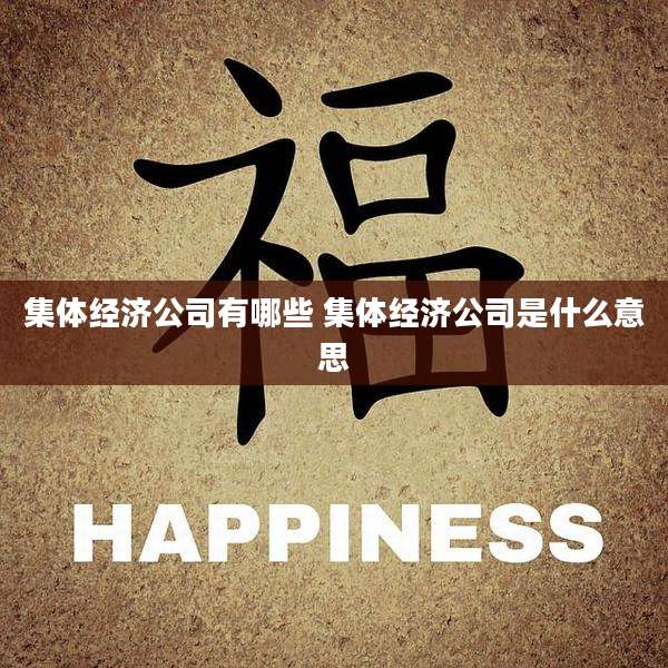 集体经济公司有哪些 集体经济公司是什么意思