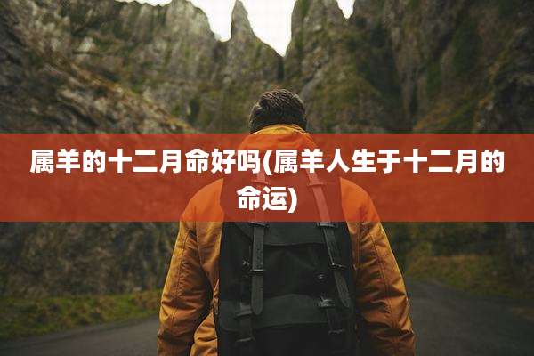 属羊的十二月命好吗(属羊人生于十二月的命运)