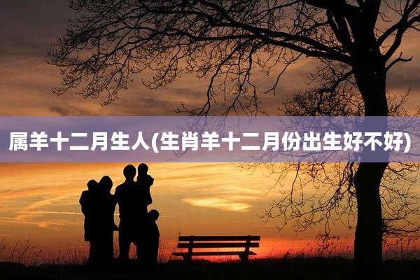 属羊十二月生人(生肖羊十二月份出生好不好)