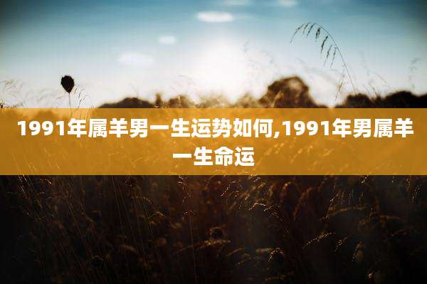 1991年属羊男一生运势如何,1991年男属羊一生命运