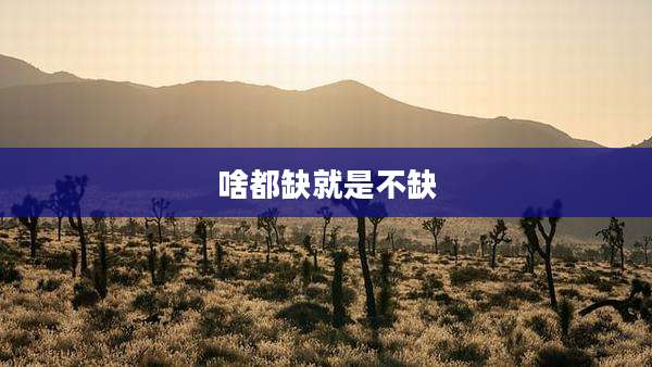 啥都缺就是不缺