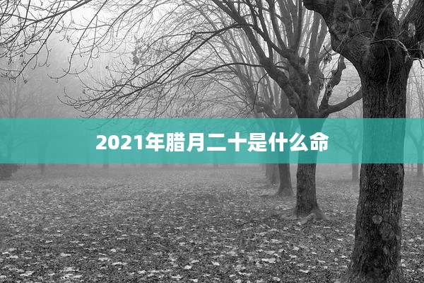 2021年腊月二十是什么命