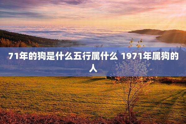 71年的狗是什么五行属什么 1971年属狗的人