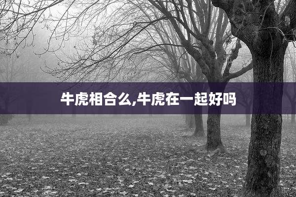 牛虎相合么,牛虎在一起好吗