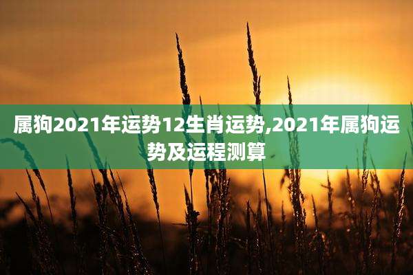 属狗2021年运势12生肖运势,2021年属狗运势及运程测算