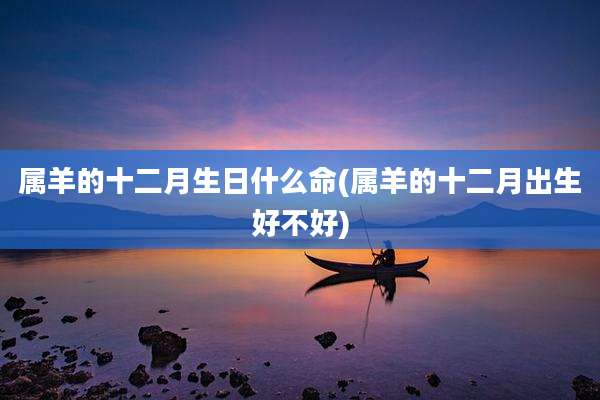 属羊的十二月生日什么命(属羊的十二月出生好不好)