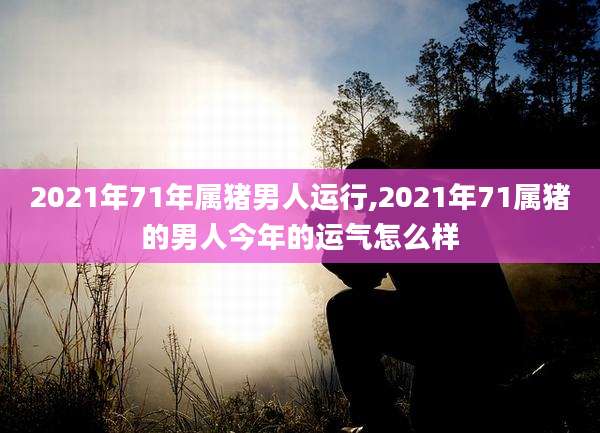 2021年71年属猪男人运行,2021年71属猪的男人今年的运气怎么样