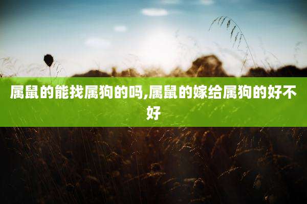 属鼠的能找属狗的吗,属鼠的嫁给属狗的好不好