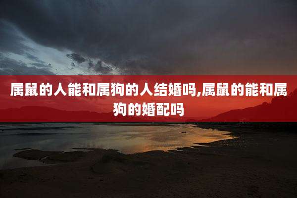 属鼠的人能和属狗的人结婚吗,属鼠的能和属狗的婚配吗
