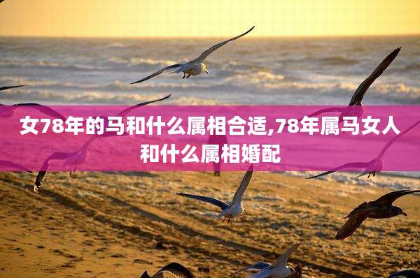 女78年的马和什么属相合适,78年属马女人和什么属相婚配