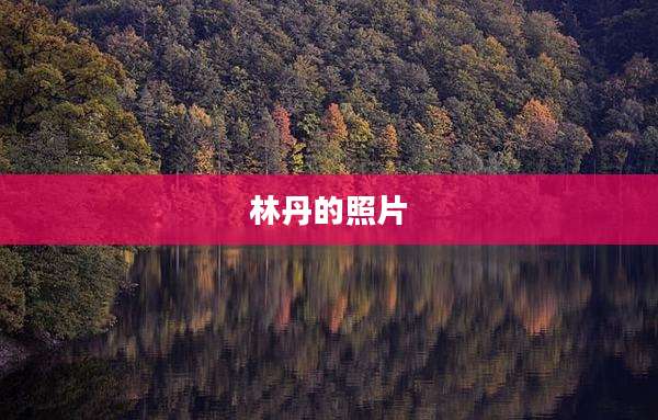 林丹的照片
