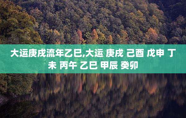 大运庚戌流年乙巳,大运 庚戌 己酉 戊申 丁未 丙午 乙巳 甲辰 癸卯