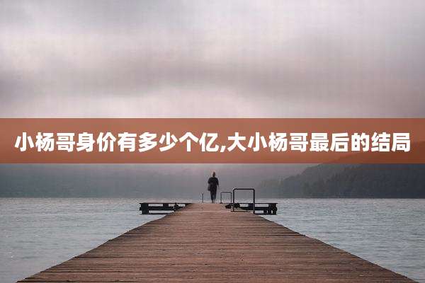 小杨哥身价有多少个亿,大小杨哥最后的结局