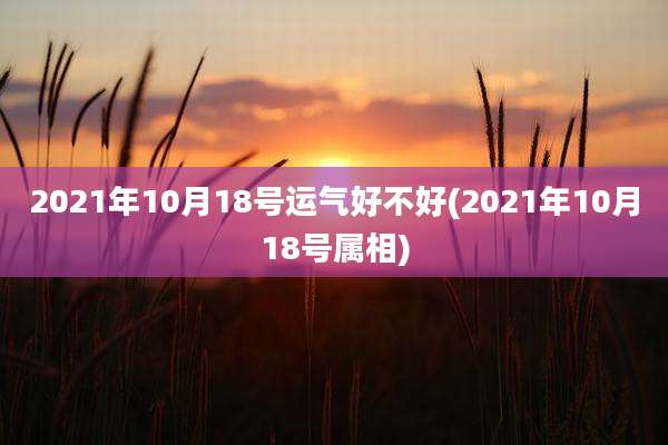 2021年10月18号运气好不好(2021年10月18号属相)