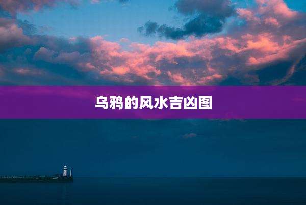 乌鸦的风水吉凶图