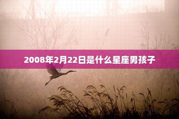 2008年2月22日是什么星座男孩子