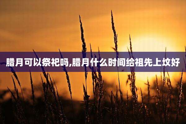 腊月可以祭祀吗,腊月什么时间给祖先上坟好