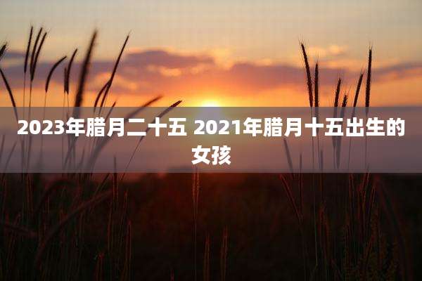 2023年腊月二十五 2021年腊月十五出生的女孩