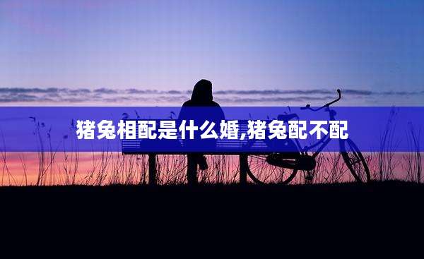 猪兔相配是什么婚,猪兔配不配