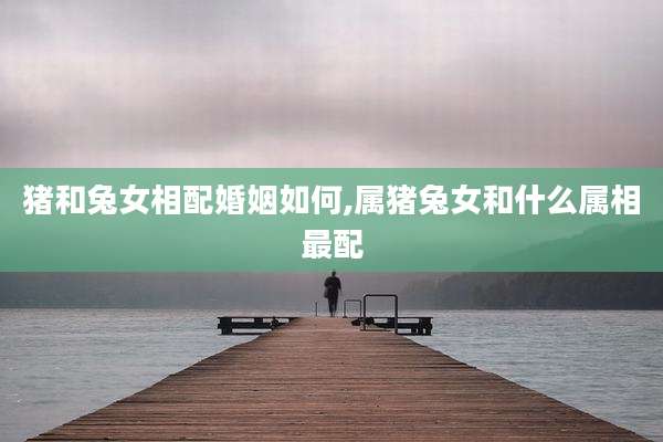 猪和兔女相配婚姻如何,属猪兔女和什么属相最配
