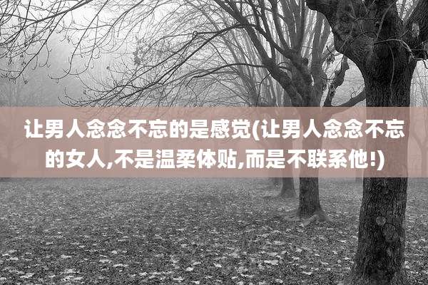 让男人念念不忘的是感觉(让男人念念不忘的女人,不是温柔体贴,而是不联系他!)