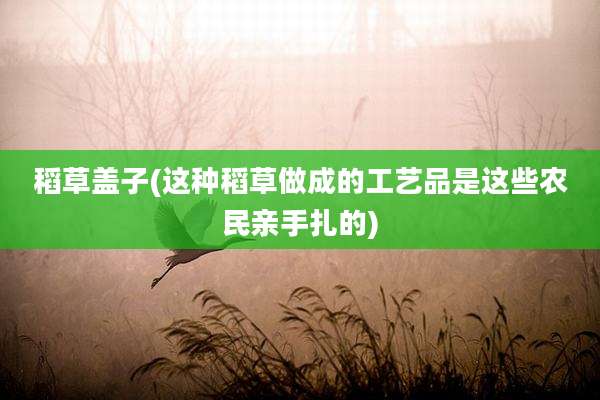 稻草盖子(这种稻草做成的工艺品是这些农民亲手扎的)