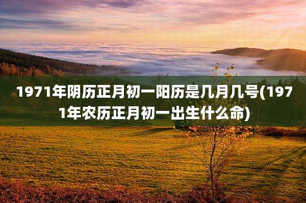 1971年阴历正月初一阳历是几月几号(1971年农历正月初一出生什么命)